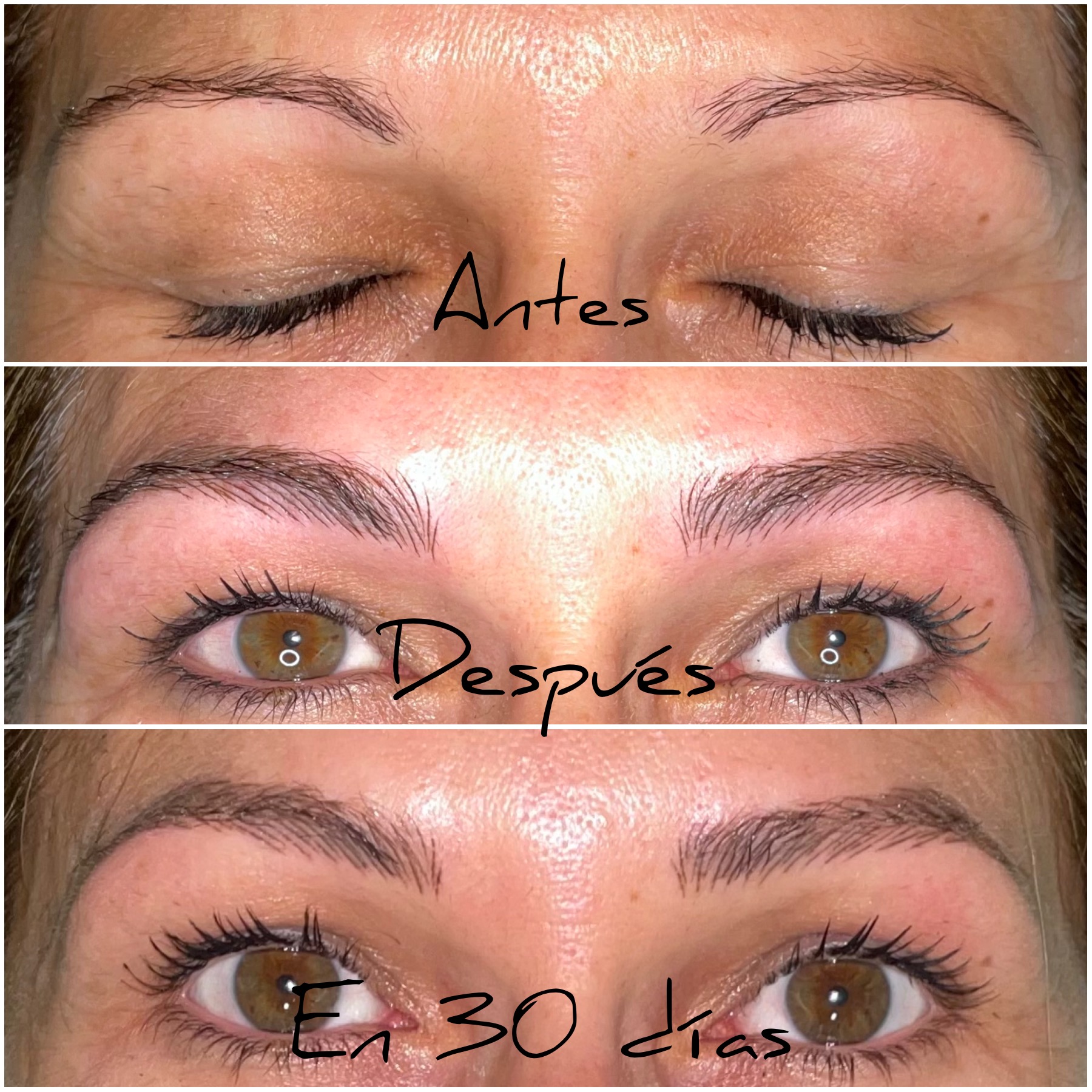 Cejas · Antes, después y 30 días