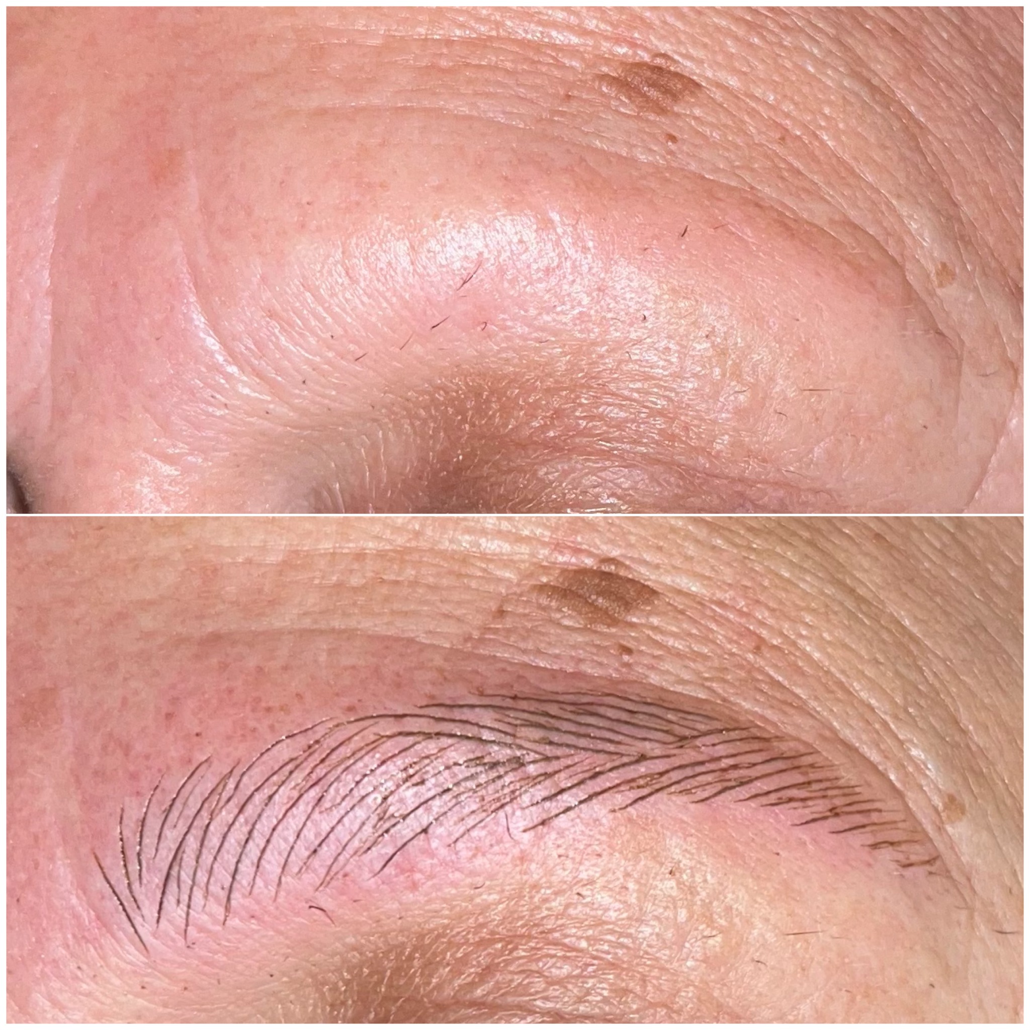Cejas · Reconstrucción del diseño