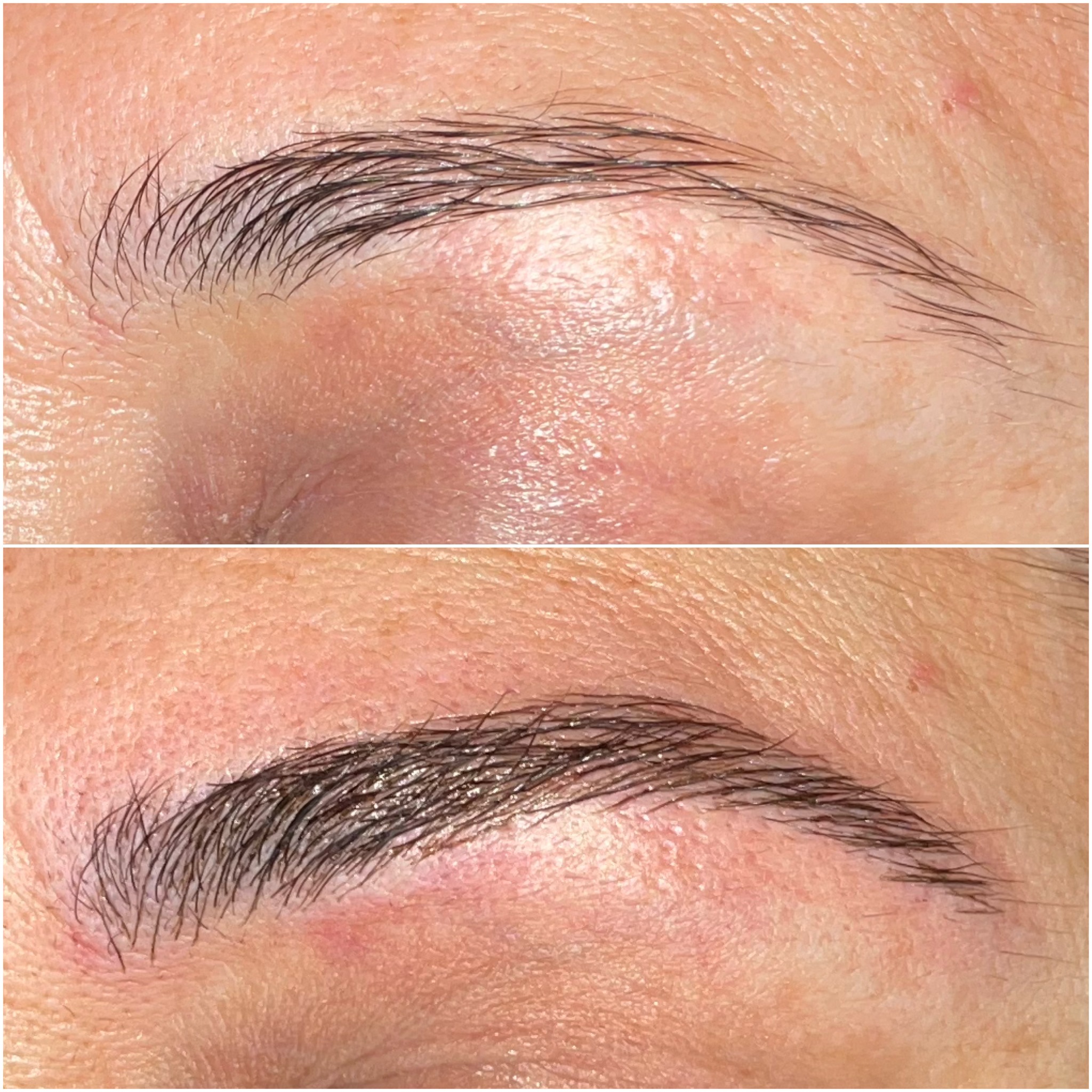 Cejas · Arco y expresión